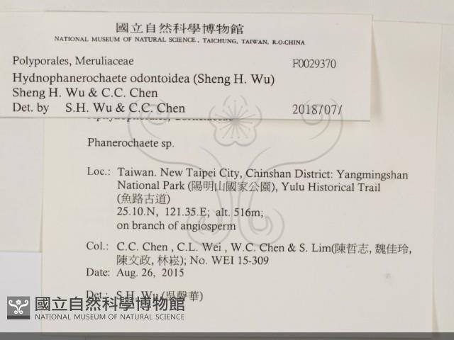 登錄號:F0029370藏品圖，第2張