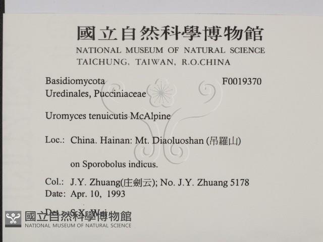 登錄號:F0019370藏品圖，第2張