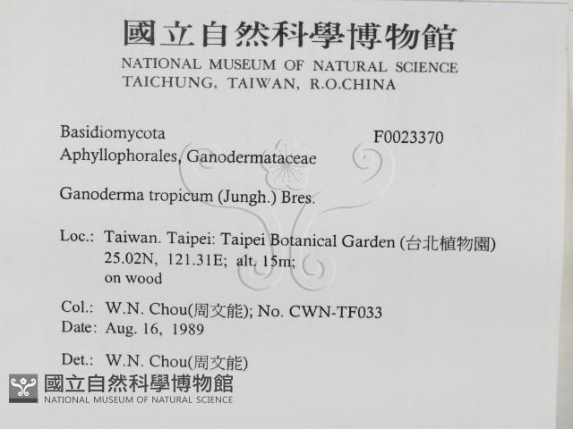 登錄號:F0023370藏品圖，第2張