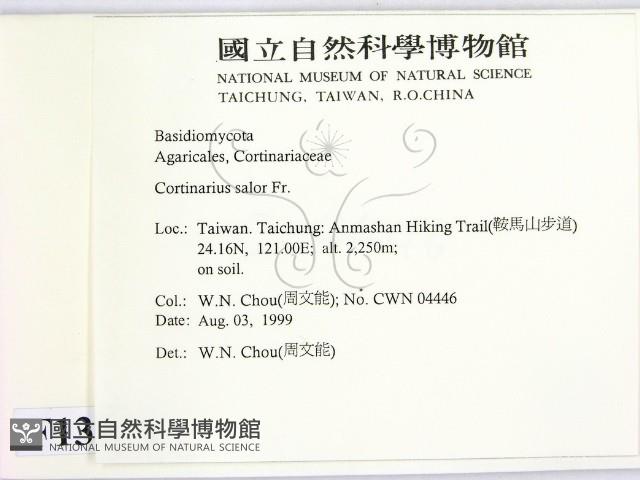 登錄號:F0013370藏品圖，第2張
