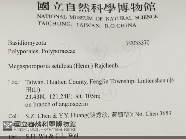 登錄號:F0033370藏品圖，第2張