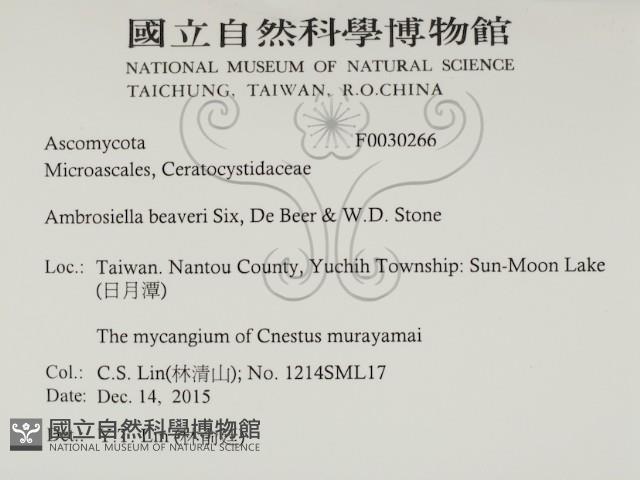 登錄號:F0030266藏品圖，第2張