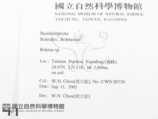 登錄號:F0016266藏品圖，第2張