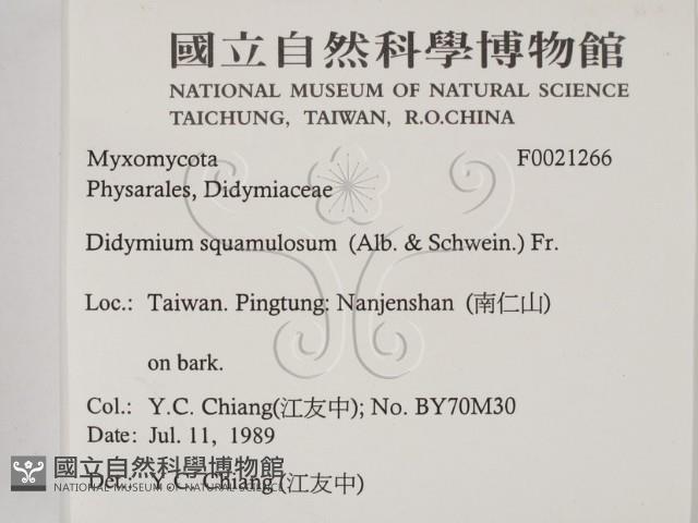 登錄號:F0021266藏品圖，第2張