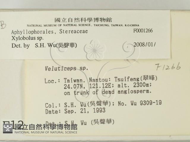 登錄號:F0001266藏品圖，第2張