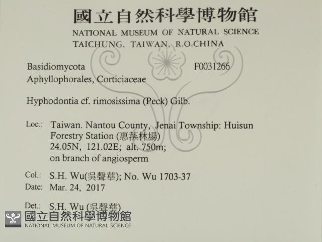 登錄號:F0031266藏品圖，第2張