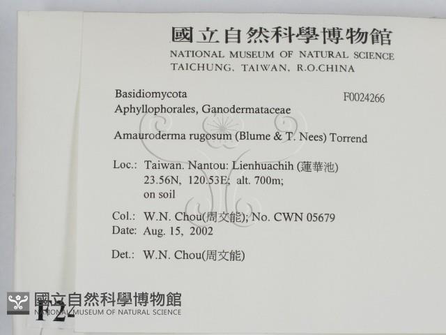 登錄號:F0024266藏品圖，第2張