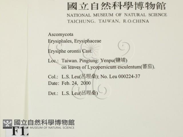 登錄號:F0012266藏品圖，第2張