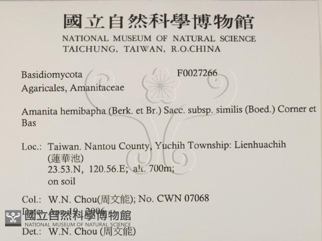 登錄號:F0027266藏品圖，第2張