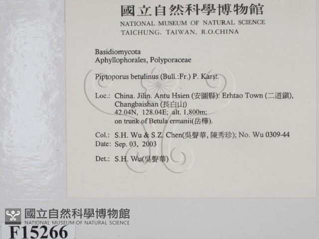 登錄號:F0015266藏品圖，第2張