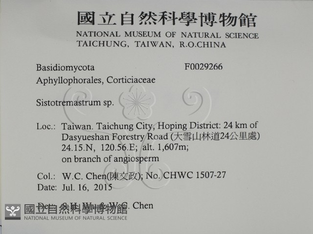 登錄號:F0029266藏品圖，第2張