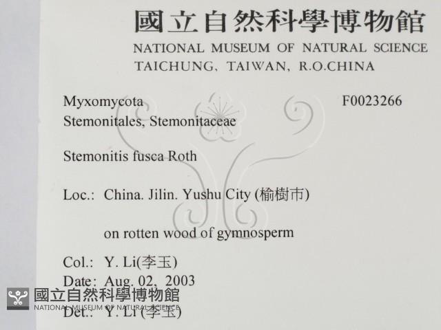 登錄號:F0023266藏品圖，第2張