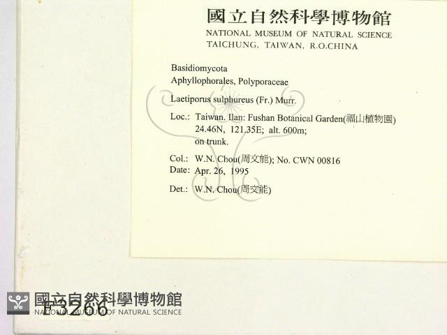 登錄號:F0003266藏品圖，第2張