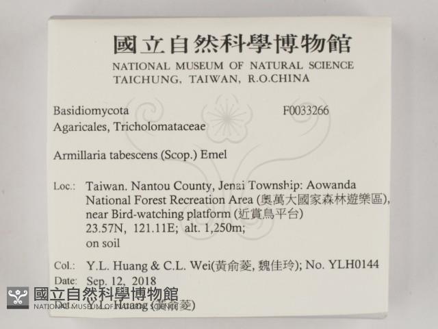 登錄號:F0033266藏品圖，第2張
