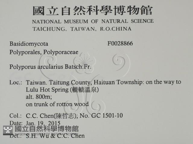 登錄號:F0028866藏品圖，第2張