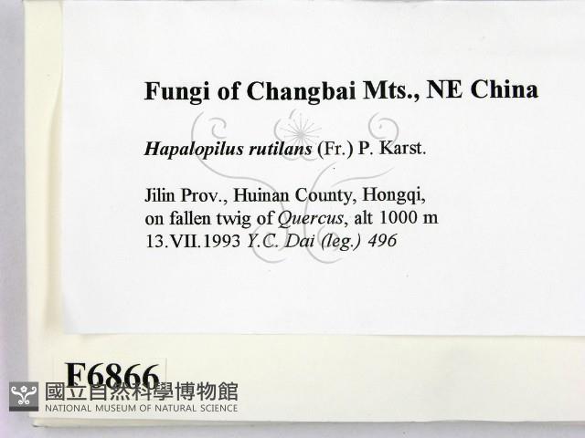 登錄號:F0006866藏品圖，第2張