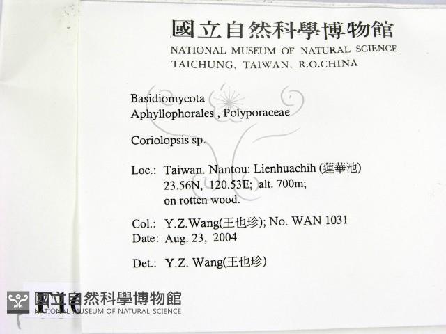 登錄號:F0016866藏品圖，第2張