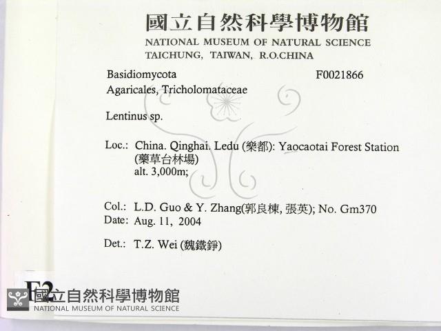 登錄號:F0021866藏品圖，第2張