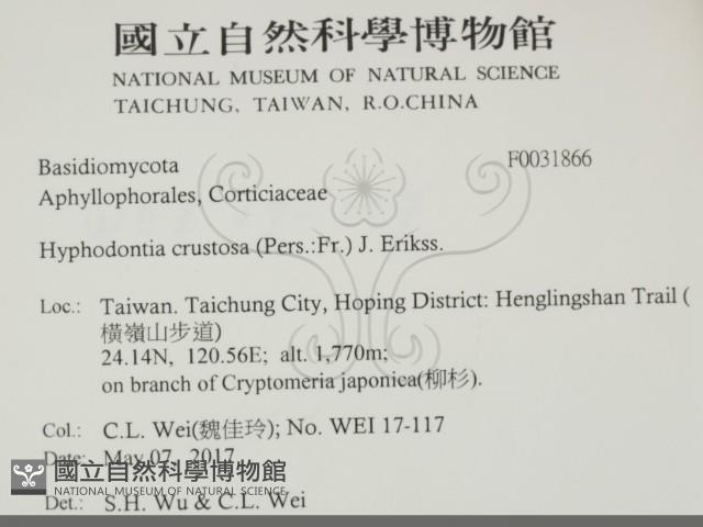 登錄號:F0031866藏品圖，第2張