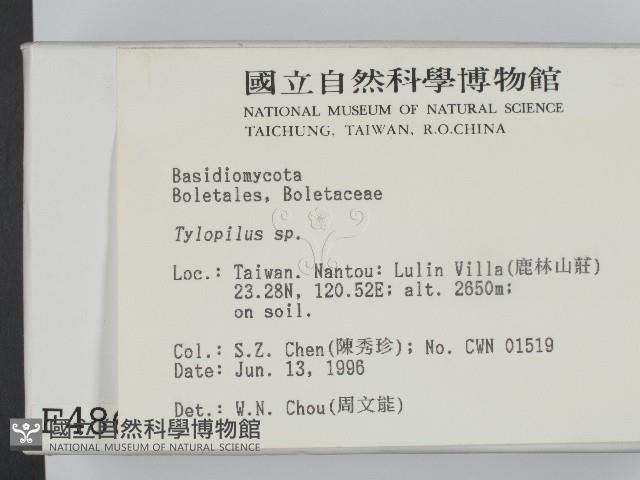 登錄號:F0004866藏品圖，第2張