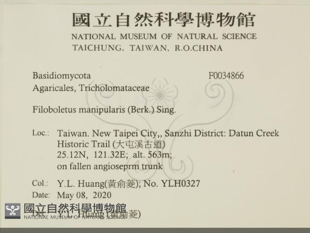 登錄號:F0034866藏品圖，第2張
