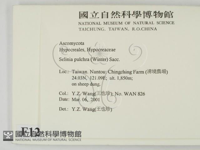 登錄號:F0012866藏品圖，第2張