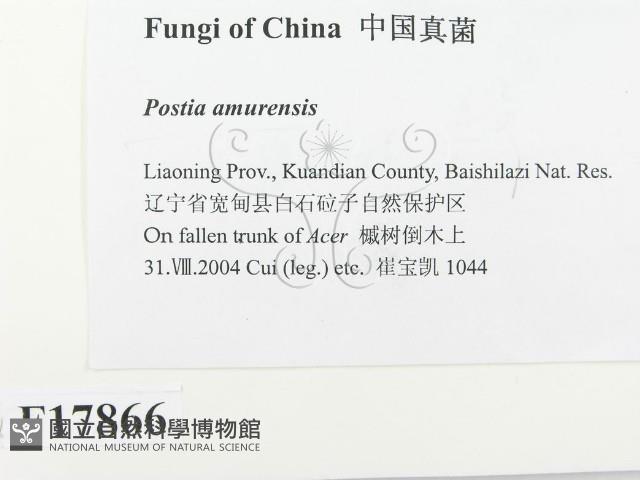登錄號:F0017866藏品圖，第2張