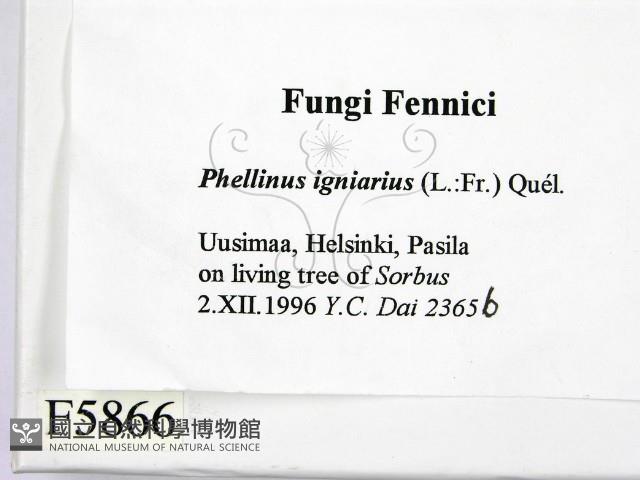 登錄號:F0005866藏品圖，第2張