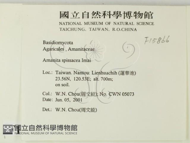 登錄號:F0015866藏品圖，第2張