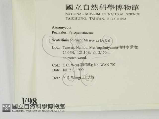 登錄號:F0009866藏品圖，第2張