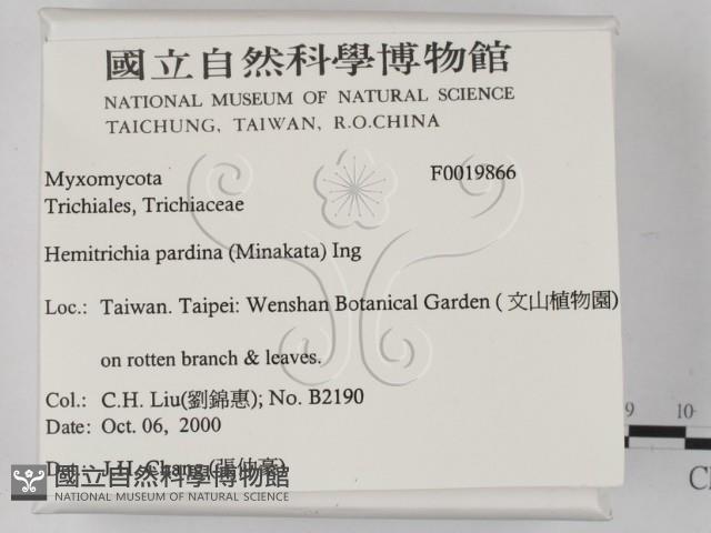 登錄號:F0019866藏品圖，第2張