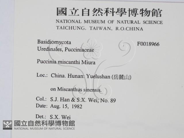 登錄號:F0018966藏品圖，第2張