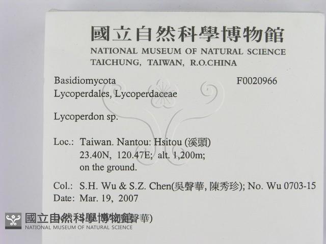 登錄號:F0020966藏品圖，第2張
