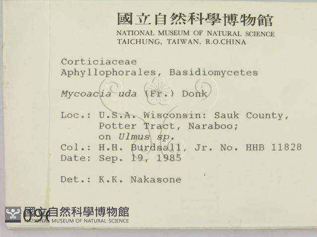 登錄號:F0000966藏品圖，第2張