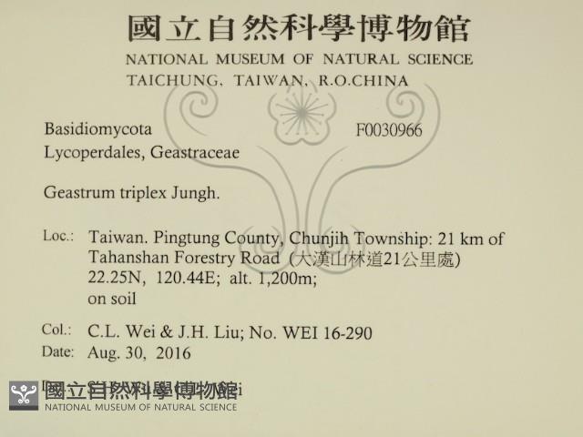 登錄號:F0030966藏品圖，第2張