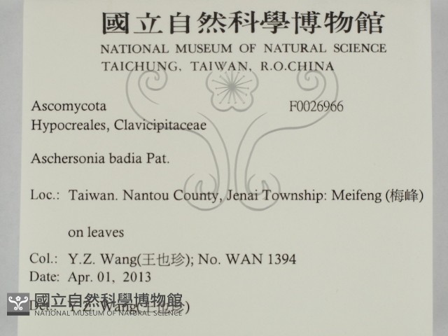 登錄號:F0026966藏品圖，第2張