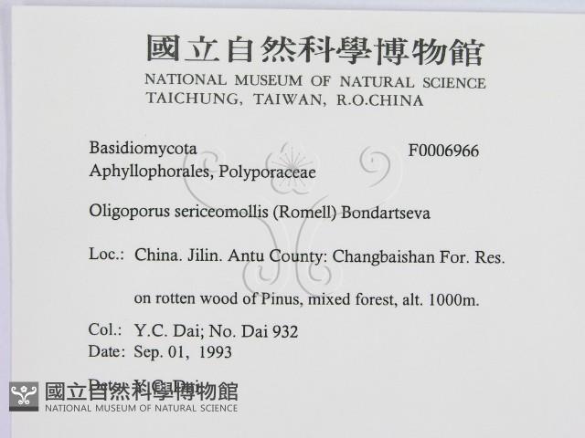 登錄號:F0006966藏品圖，第2張