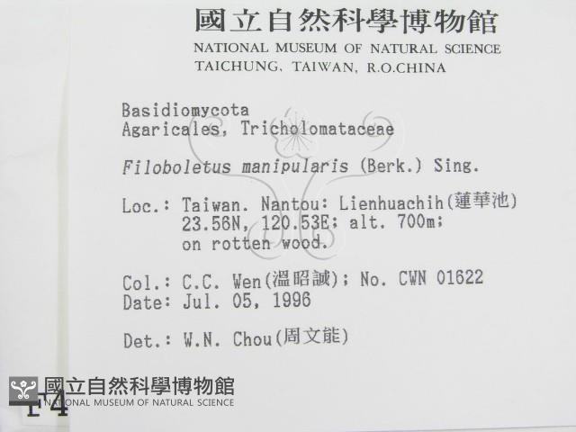 登錄號:F0004966藏品圖，第2張