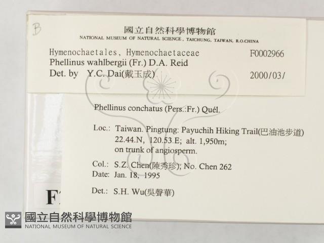 登錄號:F0002966藏品圖，第2張