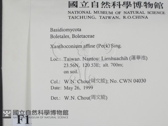 登錄號:F0012966藏品圖，第2張