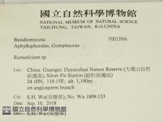 登錄號:F0032966藏品圖，第2張