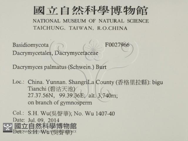 登錄號:F0027966藏品圖，第2張