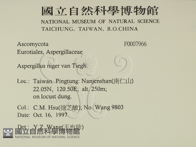 登錄號:F0007966藏品圖，第2張