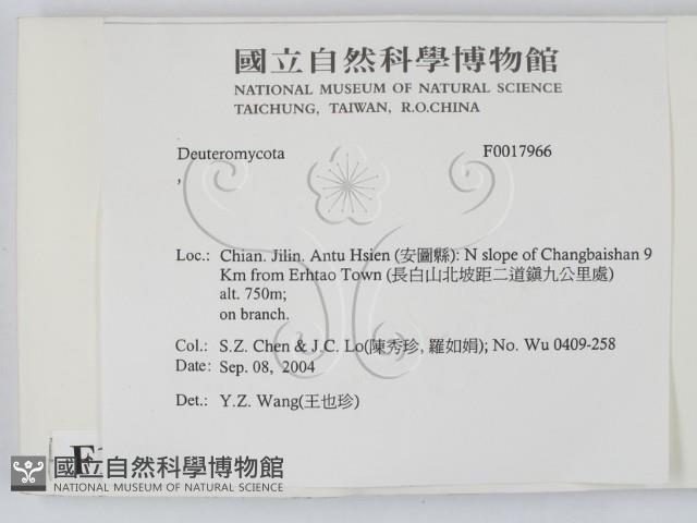 登錄號:F0017966藏品圖，第2張