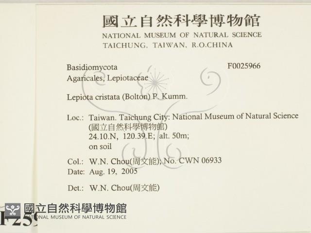 登錄號:F0025966藏品圖，第2張