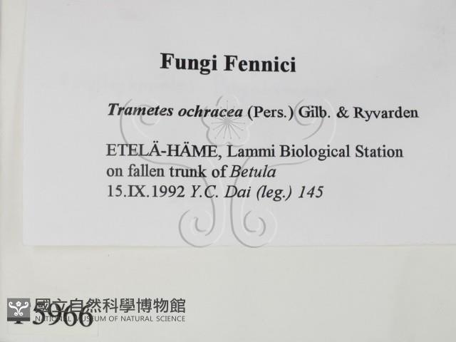 登錄號:F0005966藏品圖，第2張