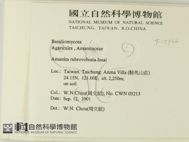 登錄號:F0015966藏品圖，第2張