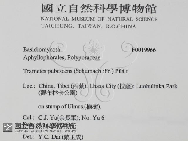 登錄號:F0019966藏品圖，第2張