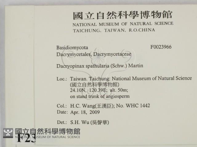 登錄號:F0023966藏品圖，第2張