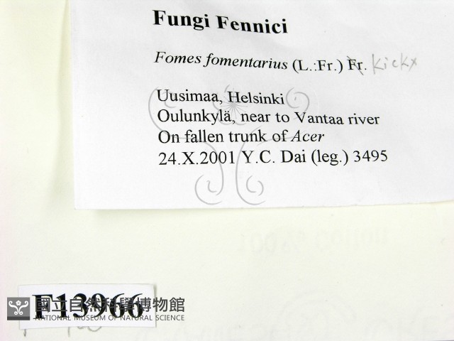 登錄號:F0013966藏品圖，第2張